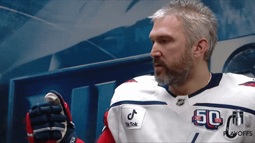 Stanley Cup Playoffs Hockey GIF by NHL