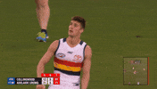 adelaidecrows goal reactions celebrations chainsaw GIF