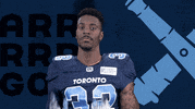 canadian football league sport GIF by Toronto Argonauts