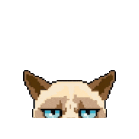 lid8bit cat meme pixel sad Sticker