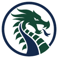 NewBraunfelsISD nbisd dragons Sticker