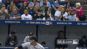 nyy GIF by MLB