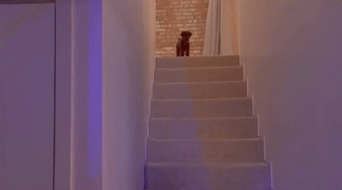 witness world wide #kpwww GIF by Katy Perry