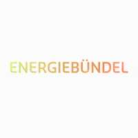 swb swb kollege mehralseinjob energiebündel GIF