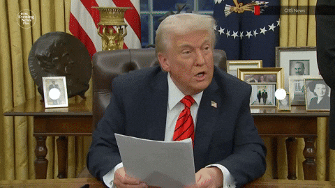 newscaststudio giphyupload GIF