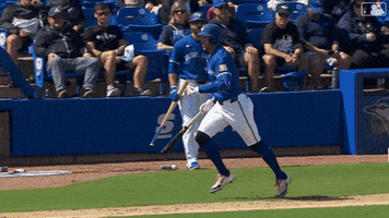 Blue Jays Running GIF by Toronto Blue Jays