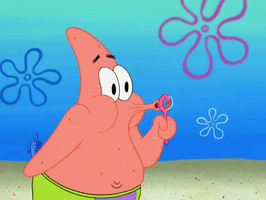 season 8 bubble troubles GIF by SpongeBob SquarePants