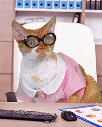 At Work Cat GIF
