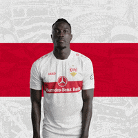 Football Soccer GIF by VfB Stuttgart