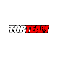 Top Team Sticker