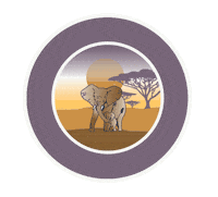 IvoryElla animals elephant wildlife discovery Sticker