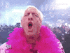 Ric Flair Sport GIF by WWE