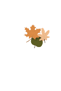 Fall Autumn Sticker
