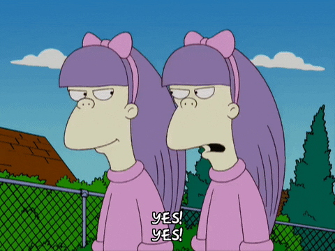 Episode 7 Twins GIF by The Simpsons