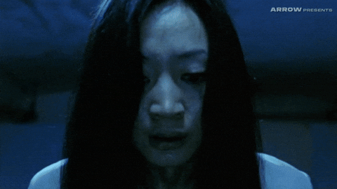 Peter Ho-Sun Chan Horror GIF by Arrow Video