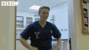 dog no GIF by CBBC