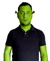 daanrox yes like shrek filter Sticker