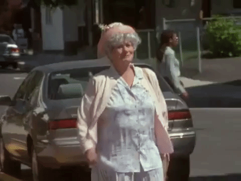 the mystery files of shelby woo nicksplat GIF