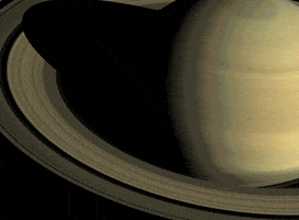 planet sub dog GIF by Nebraska Humane Society