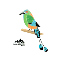 SanAgustinBP sanagustin sanagustinbp sanagus missmotmot Sticker