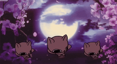 Cat Bop GIF