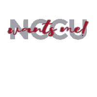 School Spirit Eagles Sticker by NCCU