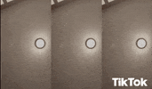 Mr Sandman Cat GIF by TikTok