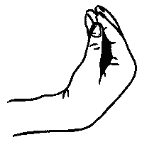 Italy Si Sticker by TEAM THE VINYLINO