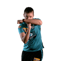Jess Jonassen Cricket Sticker by Brisbane Heat