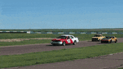 Ford Racing GIF by 24 Hours Of Lemons