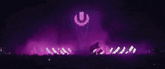 ultra dance party fire festival GIF