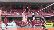 Point Wow GIF by Volleyball World