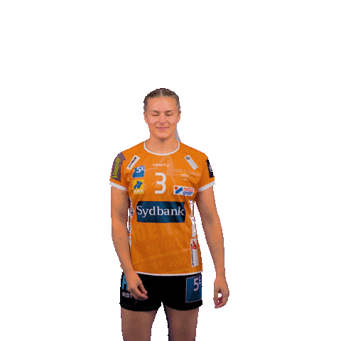 OdenseHaandbold giphyupload orange handball handbold Sticker