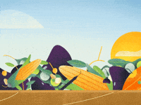 AnchorPoint health healthy fruit pumpkin GIF