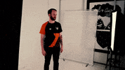 TOGfoxes together bootcamp Ulm weareone GIF