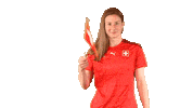 Swiss Flag Switzerland Sticker by Swiss Football Association