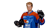 unisflyers goal eagles 7 flyers Sticker