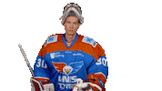 unisflyers hockey save eagles flyers Sticker