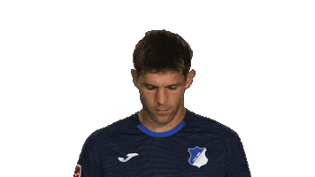 Look Up Tsg Hoffenheim Sticker by Bundesliga