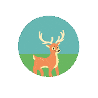 LioxFoundation mars deer liox foundation liox Sticker