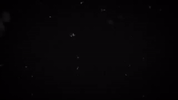 GIF by Polyvinyl Records