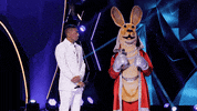 Excited Kangaroo GIF by FOX TV