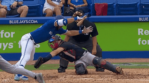 Blue Jays Mlb GIF by Toronto Blue Jays