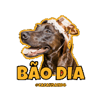 Dog Sticker