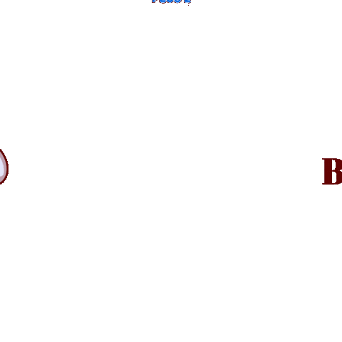 Kktc Sticker by remax plus 2