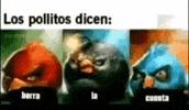 Cuenta Angry Birds GIF
