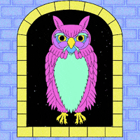 adult swim GIF by Josh Freydkis