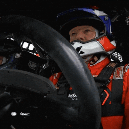 Angry Racing GIF by FIA European Rally Championship