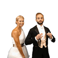 Ceskatelevize Televize Sticker