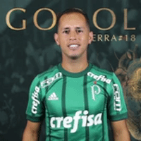gol GIF by SE Palmeiras